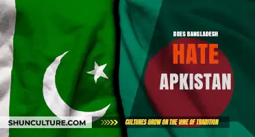 Bangladesh-Pakistan Relations: Unraveling Historical Tensions and Misconceptions