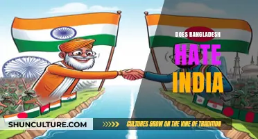 Bangladesh-India Relations: Unraveling Misconceptions and Historical Tensions