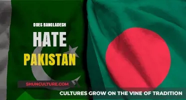 Bangladesh-Pakistan Relations: Unraveling Historical Tensions and Modern Perceptions