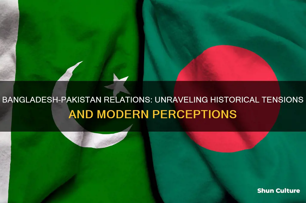 does bangladesh hate pakistan