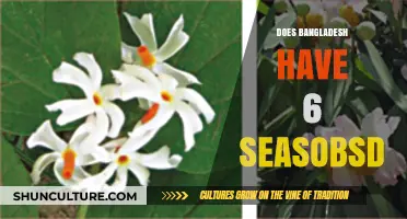Exploring Bangladesh's Unique Climate: Six Seasons or Traditional Belief?