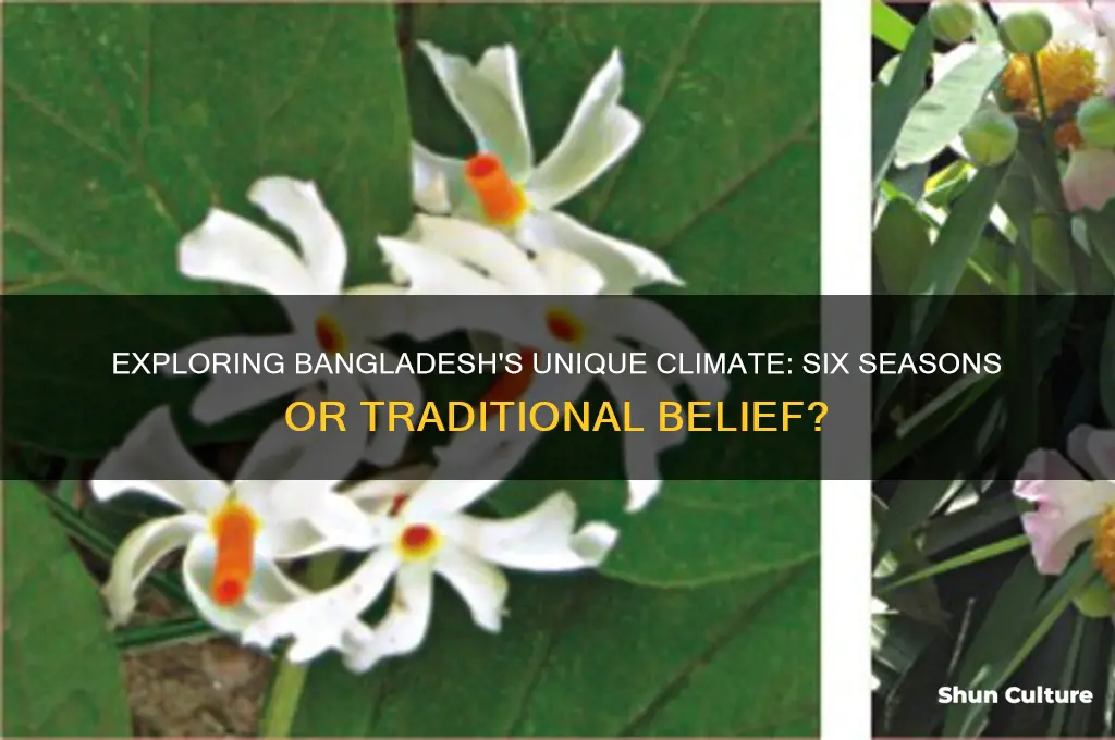 does bangladesh have 6 seasobsd