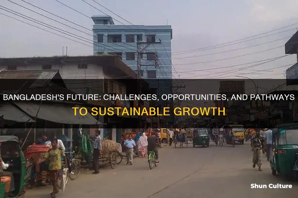 does bangladesh have a future