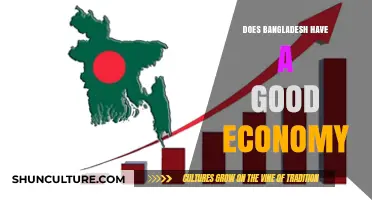 Bangladesh's Economy: Growth, Challenges, and Global Standing Explored