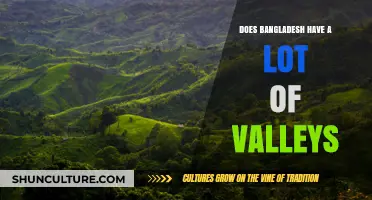 Exploring Bangladesh's Geography: Are Valleys a Common Feature?