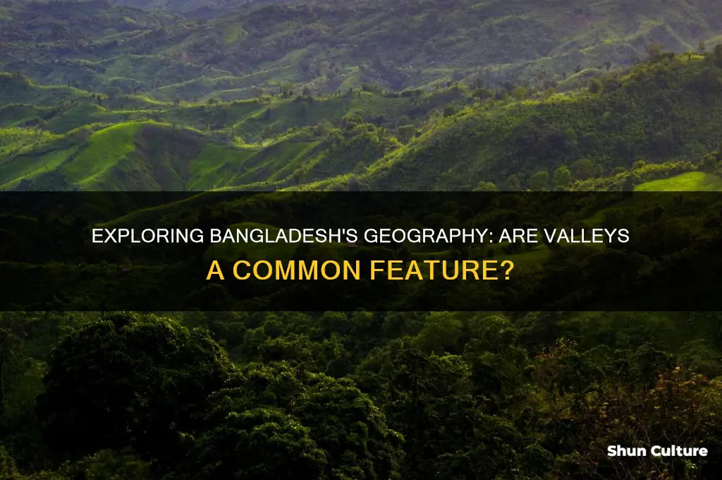 does bangladesh have a lot of valleys