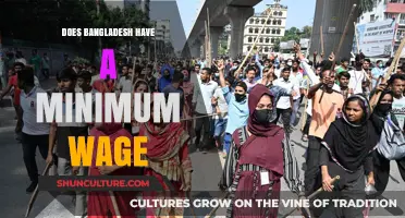 Exploring Bangladesh's Minimum Wage: Policies, Impact, and Worker Rights