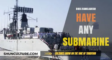 Exploring Bangladesh's Naval Capabilities: Does the Country Own Submarines?
