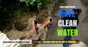 Bangladesh's Water Crisis: Access to Clean Water and Solutions