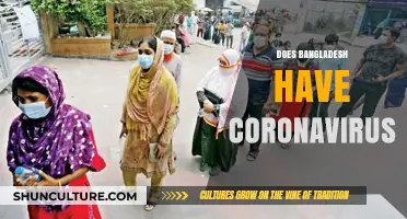 Bangladesh's COVID-19 Situation: Current Status and Updates on Coronavirus Cases