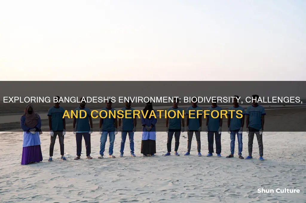 does bangladesh have environment