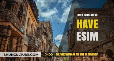 Exploring eSIM Availability in Bangladesh: What Travelers Need to Know