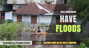 Bangladesh's Floods: Causes, Impacts, and Resilience Strategies Explained