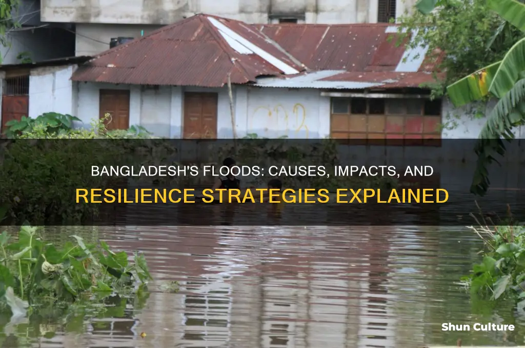does bangladesh have floods