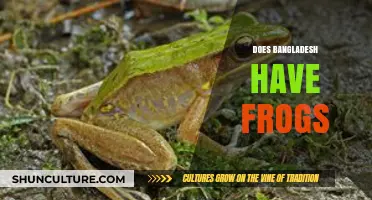 Exploring Bangladesh's Amphibian Diversity: Do Frogs Call It Home?