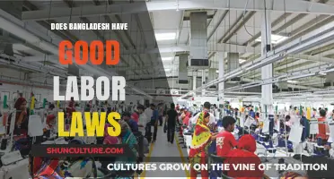 Exploring Bangladesh's Labor Laws: Are They Fair and Effective?