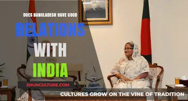 Bangladesh-India Relations: A Deep Dive into Their Diplomatic Ties
