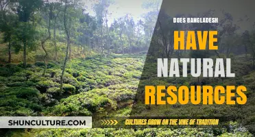 Exploring Bangladesh's Natural Resources: Wealth, Potential, and Sustainability Challenges