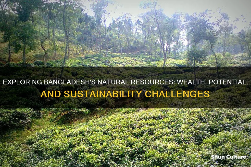 does bangladesh have natural resources