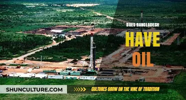 Exploring Bangladesh's Oil Reserves: Facts, Potential, and Economic Impact