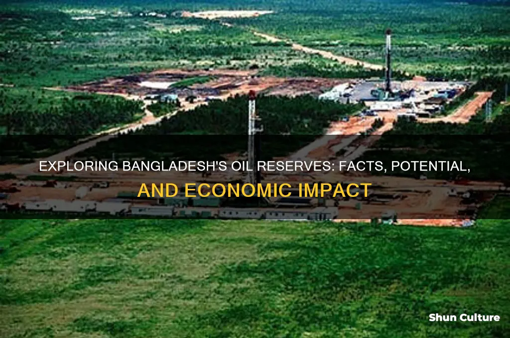 does bangladesh have oil