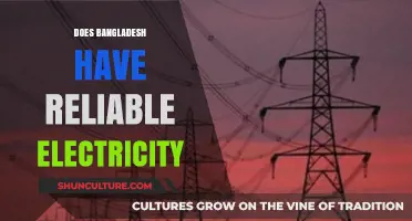 Bangladesh's Electricity Reliability: Challenges, Progress, and Future Prospects