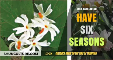 Exploring Bangladesh's Unique Climate: Six Seasons or Traditional Four?