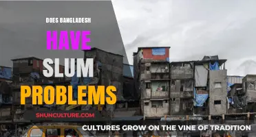 Bangladesh's Slum Crisis: Challenges, Realities, and Potential Solutions