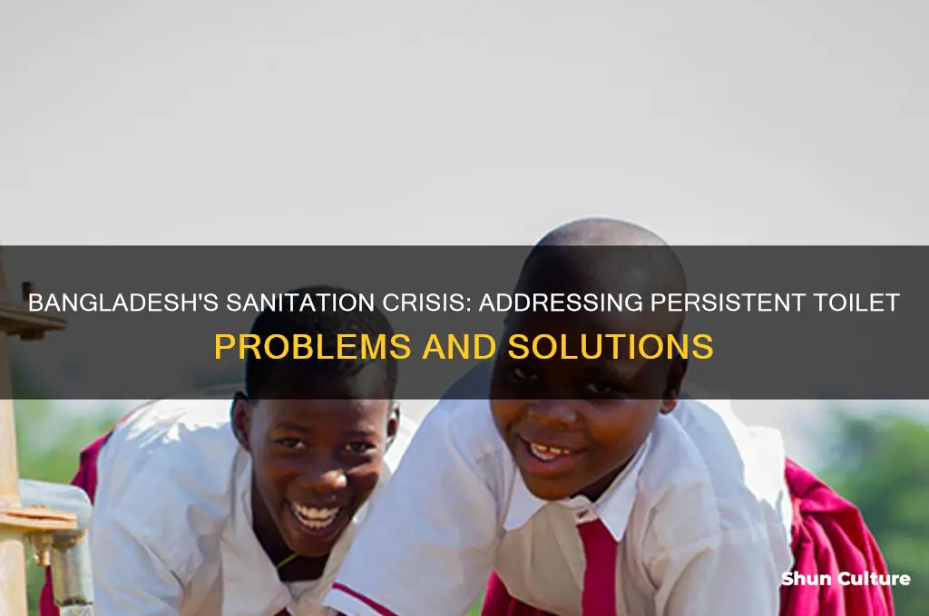 does bangladesh have toilet problems