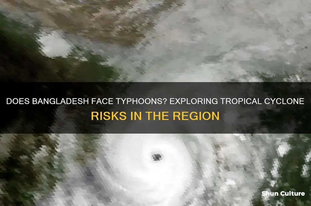 does bangladesh have typhoons