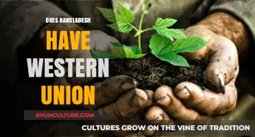 Does Bangladesh Have Western Union? Exploring Remittance Options in the Country