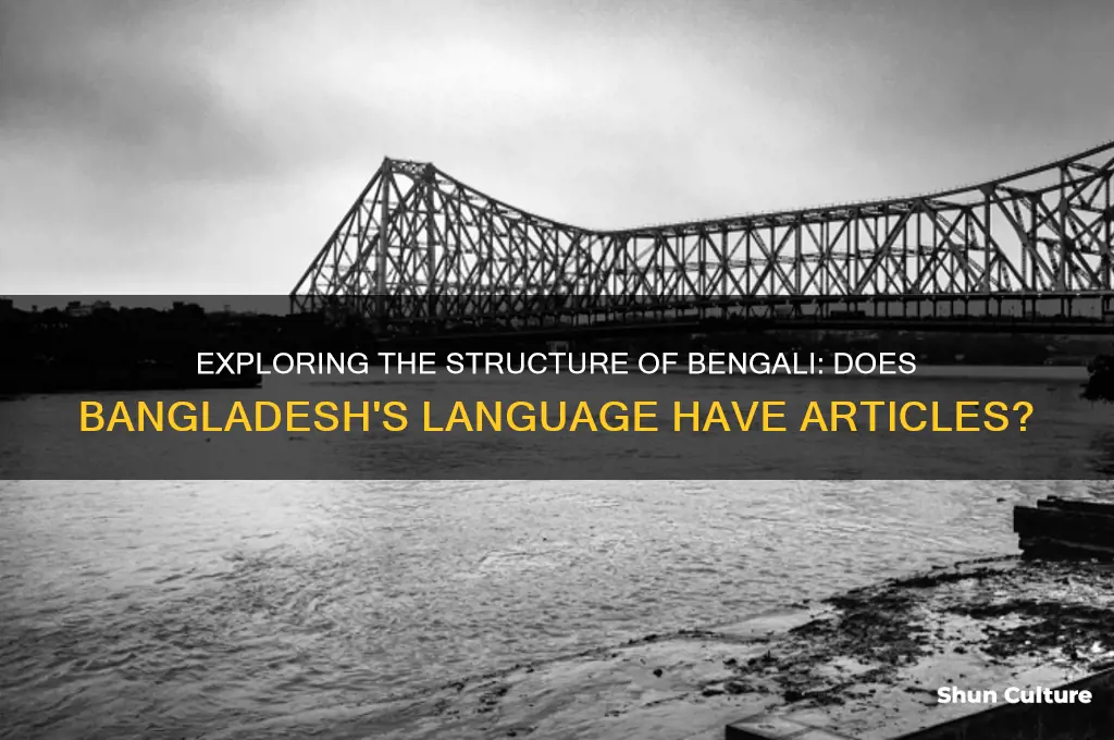 does bangladesh language has article