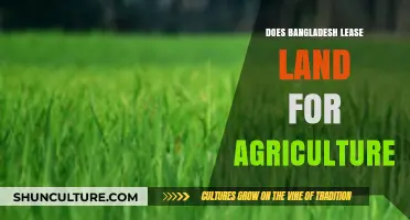 Exploring Bangladesh's Land Leasing Practices for Agricultural Development