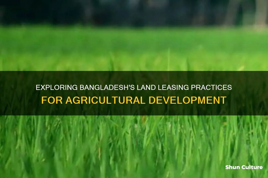 does bangladesh lease land for agriculture