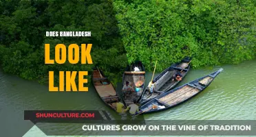 Exploring Bangladesh's Unique Landscapes, Culture, and Vibrant Cityscapes