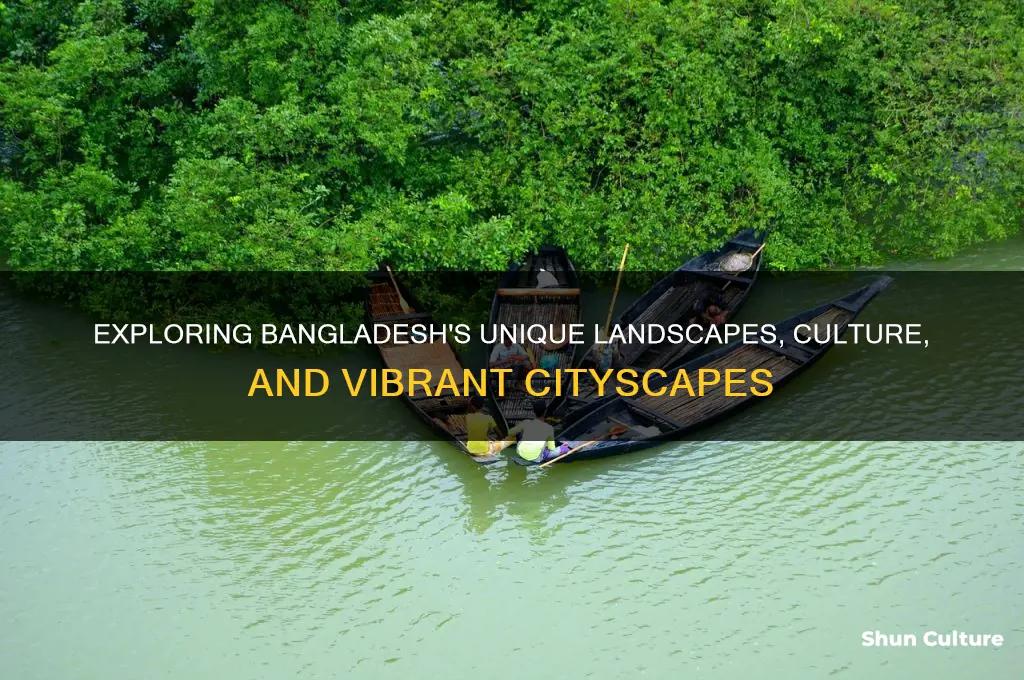 does bangladesh look like