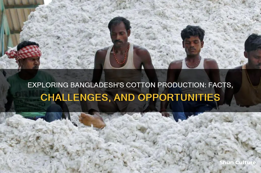 does bangladesh produce cotton