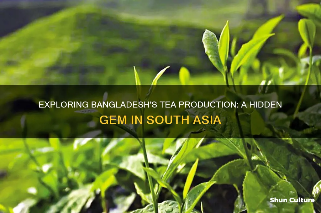does bangladesh produce tea
