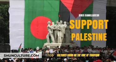 Bangladesh's Stance on Palestine: Solidarity, History, and Diplomatic Support Explored