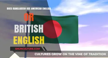 American or British English: Which Does Bangladesh Favor in Writing?
