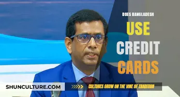 Credit Card Usage in Bangladesh: Trends, Challenges, and Adoption Rates
