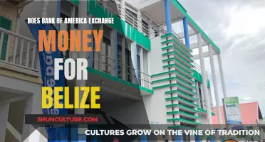 Bank of America: Exchange Money for Belize?