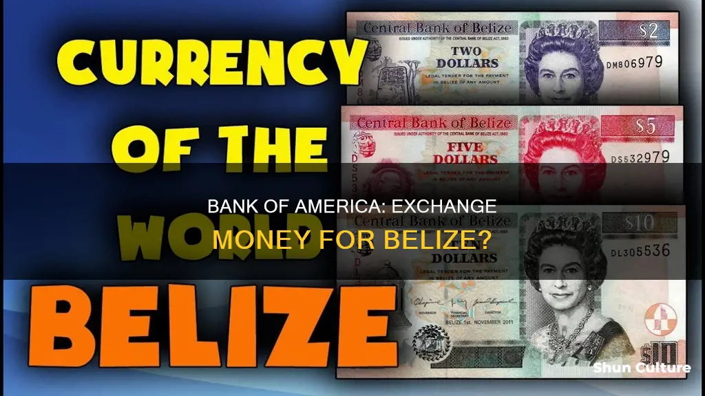 does bank of america exchange money for belize