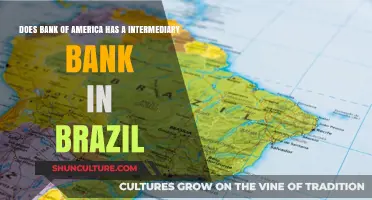 Bank of America's Intermediary Banking Presence in Brazil: What You Need to Know