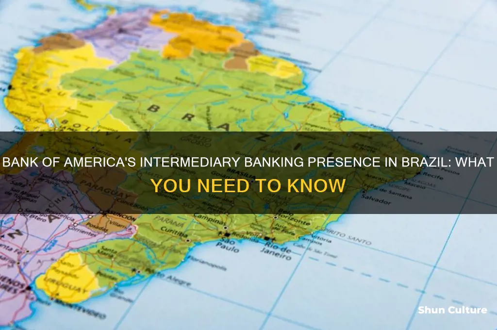 does bank of america has a intermediary bank in brazil