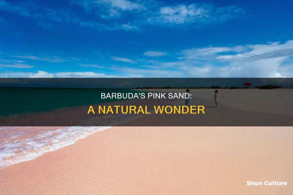 does barbuda have pink sand