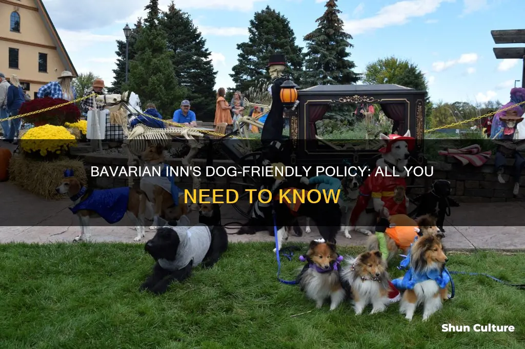 does bavarian inn allow dogs