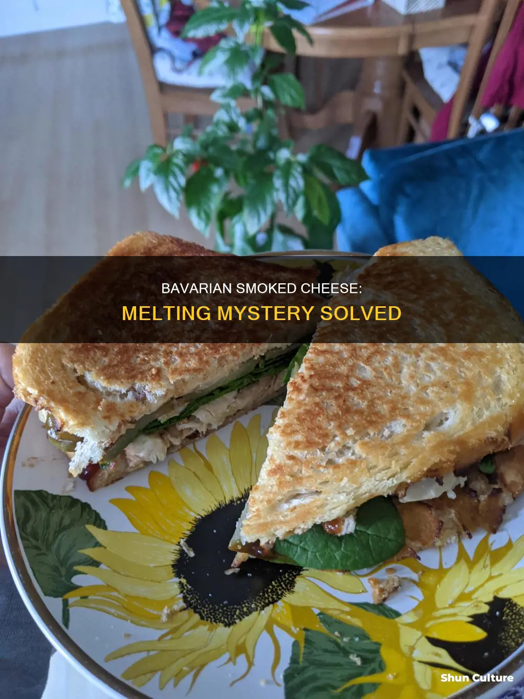 does bavarian smoked cheese melt