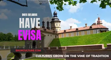 Belarus' eVisa System: What Foreign Visitors Need to Know