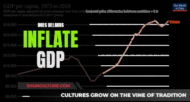 Belarus' GDP: Is It Inflated or Accurate?